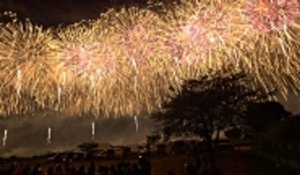 Des feux d'artifice silencieux pour le bien-être des animaux en Italie !