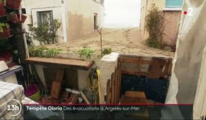 Tempête Gloria : le littoral d'Argelès-sur-Mer particulièrement exposé