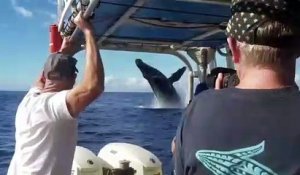 Une magnifique baleine saute hors de l'eau alors que les touristes admiraient un arc-en-ciel