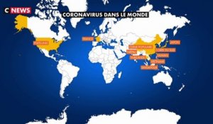 Coronavirus : le point sur la propagation de la maladie dans le monde