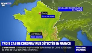 Ce que l'on sait des 3 premiers cas de coronavirus en France