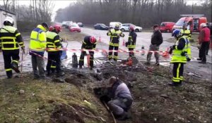 Bois-de-Haye (54) : un chien de chasse coincé dans une canalisation sauvé grâce aux sapeurs pompiers