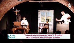 27 JANVIER 2020 - Chloé et Vassilena Serafimova "Sequenza", Cinquante et une nuance de jaune, Rose Valland en quête de l'art spolié