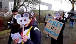 Manifestation des enseignants du collège de Scey-sur-Saône