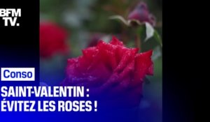 Pourquoi faut-il éviter d'offrir des roses pour la Saint-Valentin ?