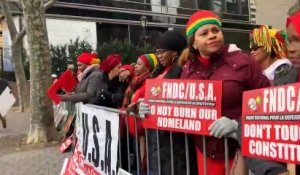 Des guinéens bravent le froid et manifestent dans les rues de New York contre le 3e mandat d'Alpha Condé