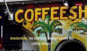 Amsterdam : les touristes bientôt bannis des coffee-shops ?