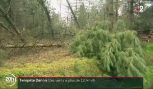 Tempête Dennis : des vents à plus de 120km/h