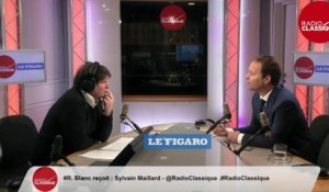 MUNICIPALES A PARIS : « AGNES BUZYN EST MOTIVEE POUR FAIRE CAMPAGNE » - SYLVAIN MAILLARD - L’INVITE DE RENAUD BLANC DU 17/02/2020