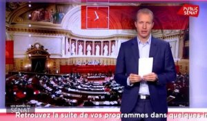 Comment faire accepter la transition écologique ? - Les matins du Sénat (18/02/2020)