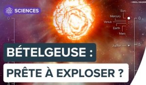 Pourquoi l'étoile Bételgeuse change de luminosité ? | Futura