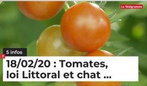 Tomates, loi Littoral et chat... 5 infos du 18 février