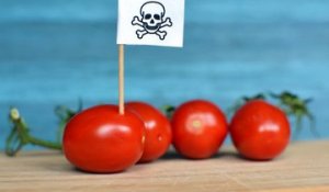 Générations Futures publie un rapport alarmant sur les pesticides
