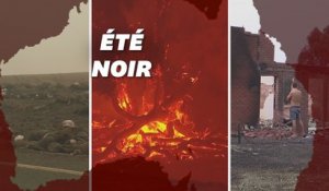 Après cinq mois d'incendies en Australie, le lourd bilan en cinq chiffres