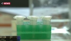 Coronavirus : les chercheurs de l’institut Pasteur de Lille s'activent
