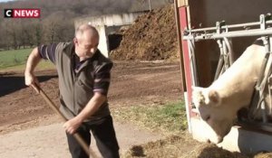 Saône-et-Loire : plus d'un tiers des agriculteurs sont en burn-out