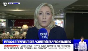 Coronavirus: Marine Le Pen demande "le contrôle de nos frontières"