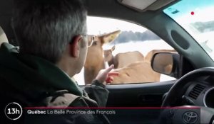 Québec : la Belle Province des Français