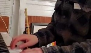 Ce chat demande l'attention du pianiste quand il joue !