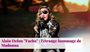 Alain Delon "Facho" : l'étrange hommage de Madonna