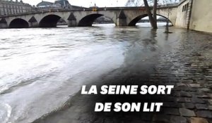 Les images de la crue de la Seine à Paris