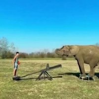 Il dunke par-dessus deux éléphants !