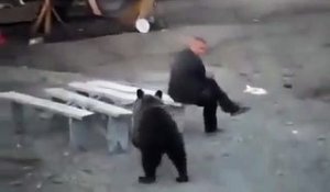 Cet homme n'a vraiment pas peur des ours