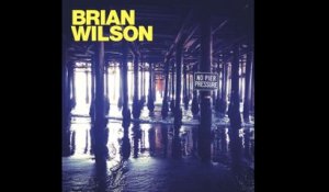 Brian Wilson - Our Special Love