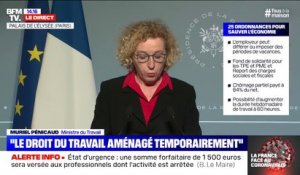 Muriel Pénicaud (ministre du Travail): "Nous ouvrirons le bénéfice du chômage partiel aux assistantes maternelles, aux employés à domicile, aux salariés au forfait jour et aux VRP"