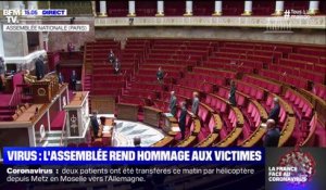 L'Assemblée Nationale observe une minute de silence en hommage aux victimes du coronavirus