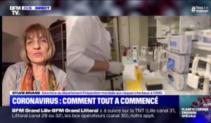 Selon Sylvie Briand (OMS), le coronavirus a été trouvé chez "des chats et des furets"