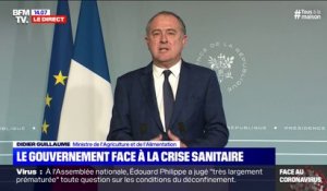 Confinement: "La chaîne alimentaire tient, il n'y aura pas de pénurie", insiste Didier Guillaume, ministre de l'Agriculture