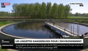 Les lingettes dangereuses pour l'environnement