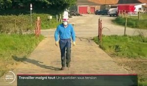 Pas-de-Calais : des électriciens réparent une ligne à haute tension en plein confinement
