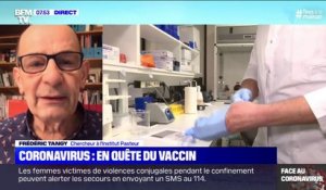 Selon Frédéric Tangy, chercheur à l'institut Pasteur, le vaccin contre le coronavirus "avance bien"