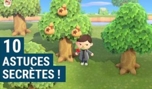 MAÎTRISER ANIMAL CROSSING : NEW HORIZONS en 10 ASTUCES