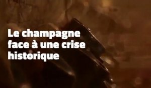 Le champagne face à une crise historique