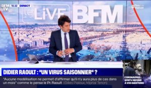 Didier Raoult: "un virus saisonnier" ? (3) - 22/04