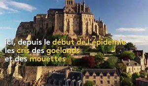 Manche : le Mont-Saint-Michel endormi pendant le confinement