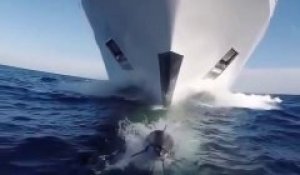 Un dauphin fait la course avec un bateau