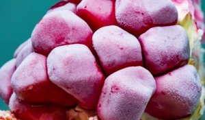 Décongélation de fruits et légumes filmés en macro