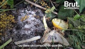 Tuto : Comment faire un compost dans son jardin
