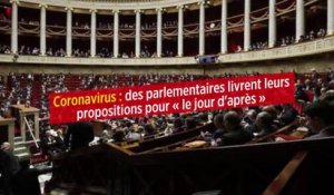 Coronavirus : des parlementaires livrent leurs propositions pour « le jour d'après »
