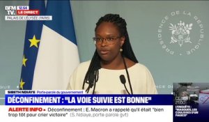Sibeth Ndiaye: "L'ouverture des parcs et jardins est inopportune compte-tenue de la situation en Île-de-France"