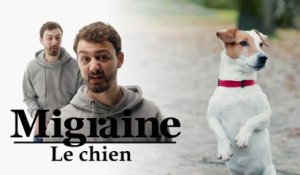 Migraine de Roman Frayssinet : Le chien - Clique - CANAL+