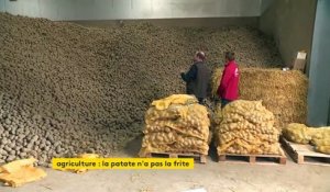 Vidéo. stocks de pommes de terre invendus : les producteurs n'ont pas la frite