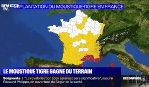 Moustique tigre: 58 départements en vigilance