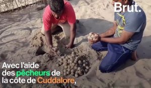 En Inde, des pêcheurs viennent en aide aux tortues de mer menacées