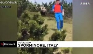 Italie : un enfant de 12 ans face à face avec un ours brun