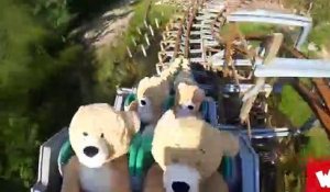 Des ours en peluche dans des montagnes russes (Walibi Holland)